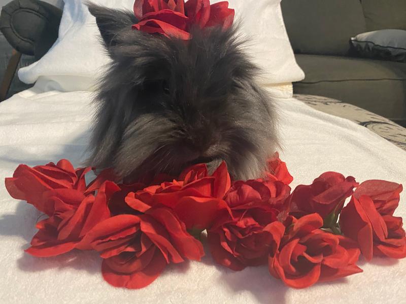 Beautiful little Penelope
