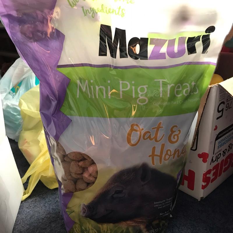 Mazuri pot hotsell belly pig food