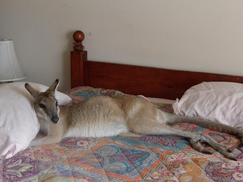 resting on our bed