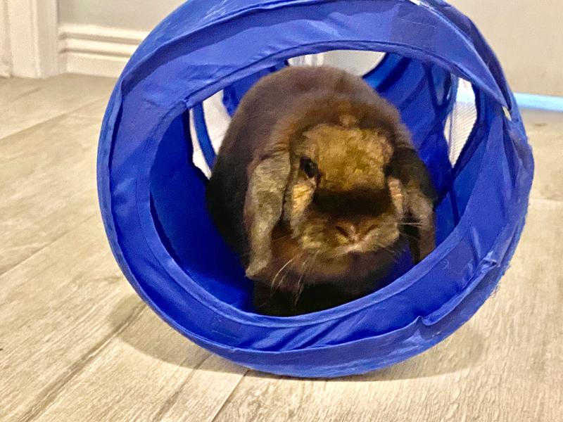 Winnie wants to know... Where’s my dinner!!