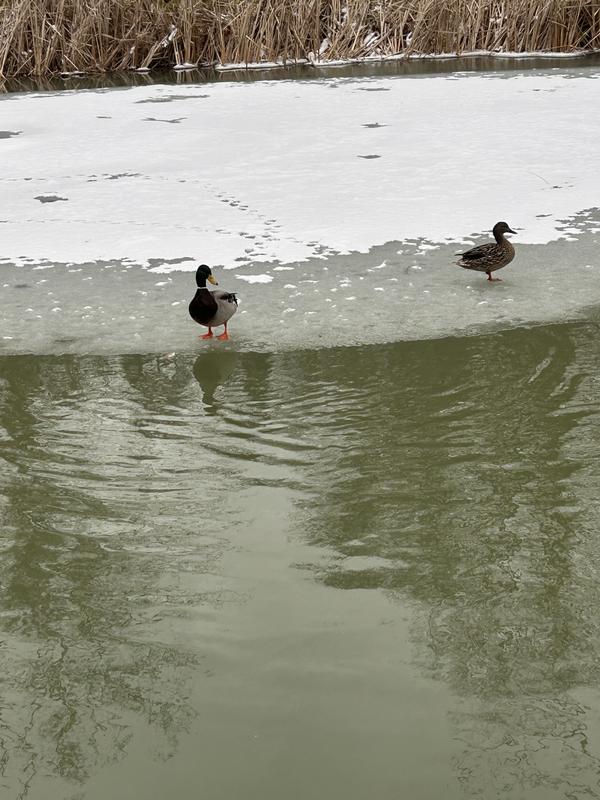 Review photo 1.