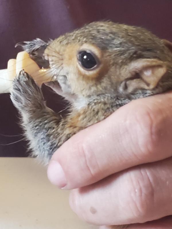 Babies we've taken care of over the years.