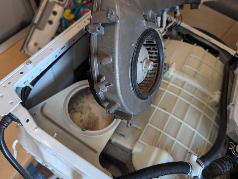 Customer photo 3 of 5. Click to open full size image.