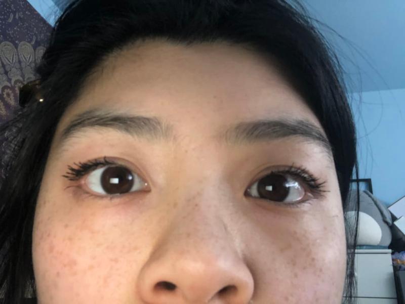 Did ok on the performance of the product with regular mascara on top.