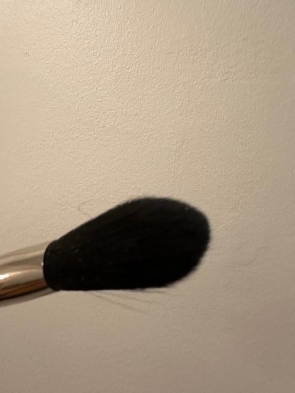 brush bristles