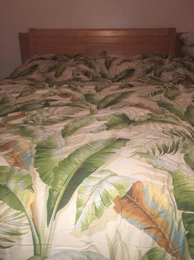 Tommy Bahama bedding