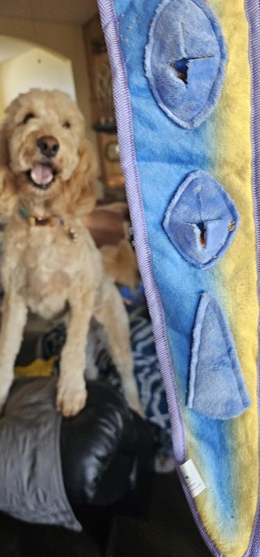 Customer carousel item 2.