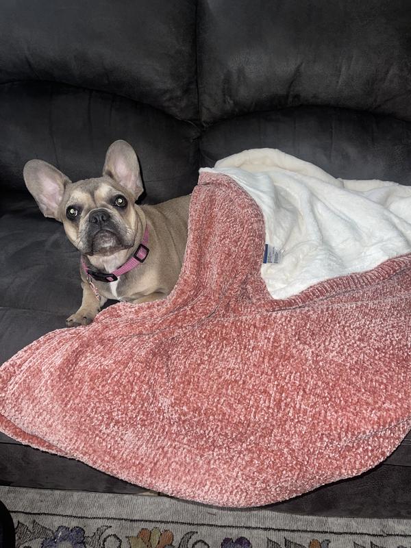 My baby loves it too:)