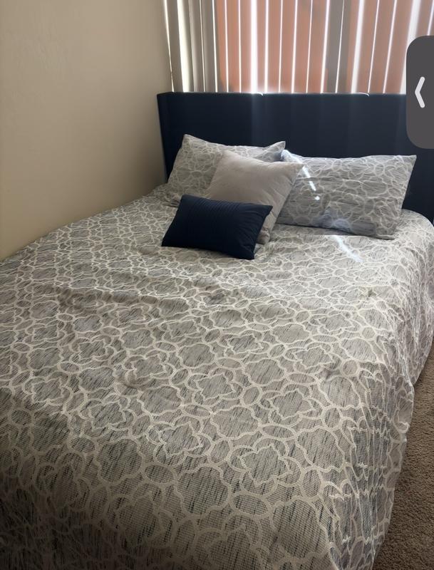 Photo from ShareBear