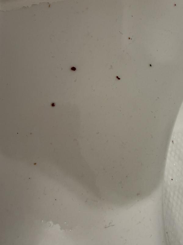 Customer carousel item 1.