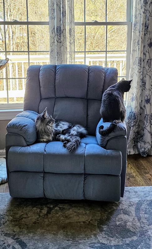 Photo from Roxie