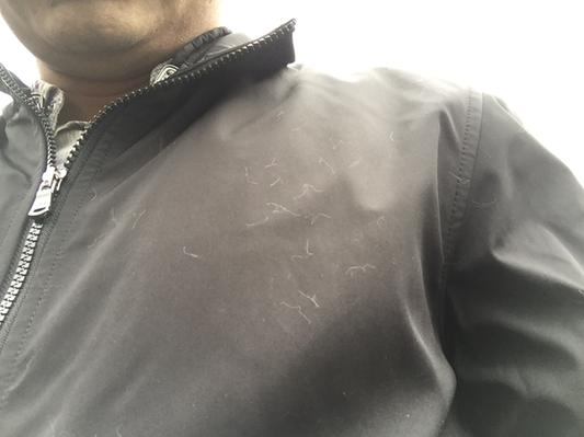 Lints get attached too easily :( should go off ina awash i think