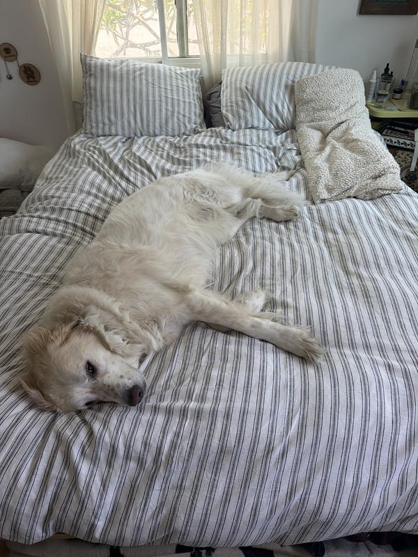 Fur baby approved!! And human approved!
