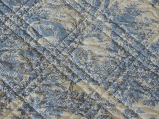 Close up forest scene