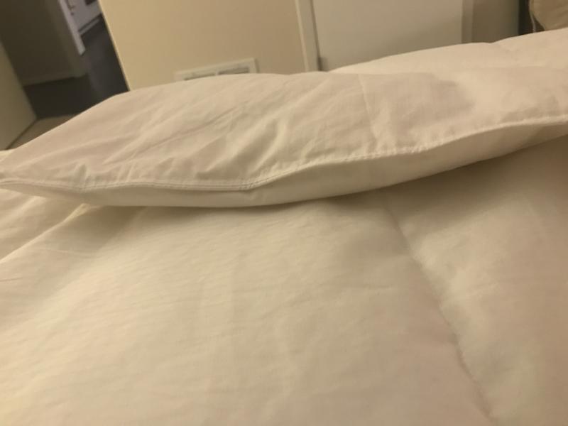 Pics of Macy's CC White Down Lightweight Comforter (King)