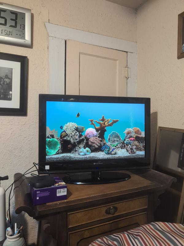 Great colorful realistic screensaver.