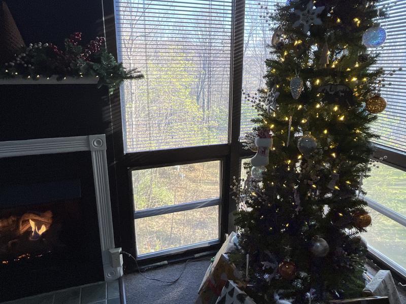 Placed on 7.5 ft pencil tree