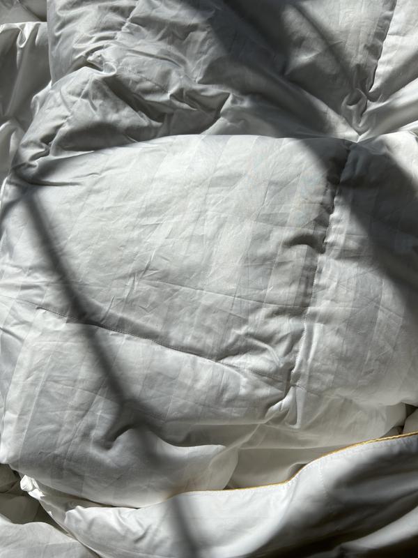 Photo from Editadoes