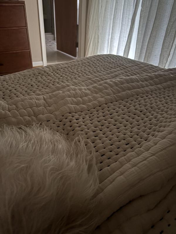 Folded over at night - plus one furry friend