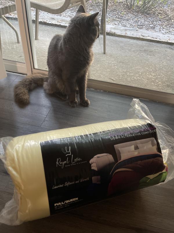 Customer carousel item 1.