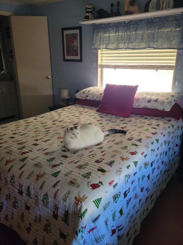Photo from Mary Fritchy