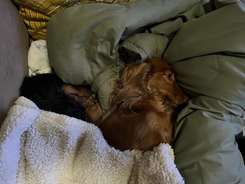 Blanket not pictured.