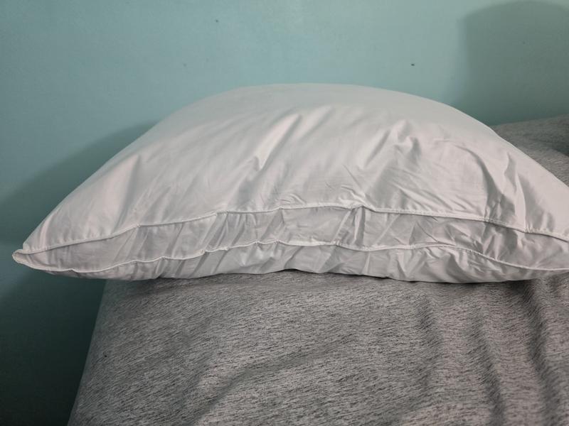 Photo from Love the gusseted pillow