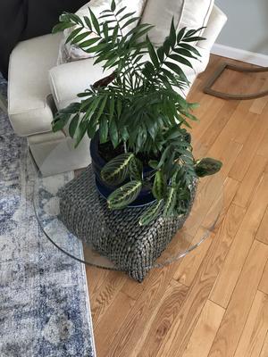 Photo from Grandmom