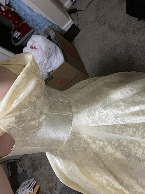 I added a hoop skirt.