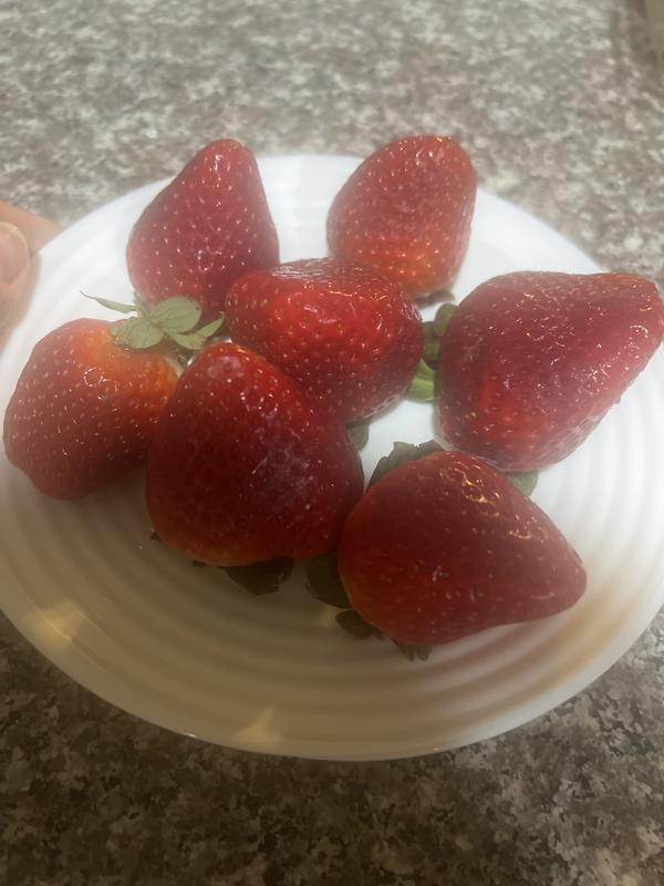 Photo from Lolojoy181315