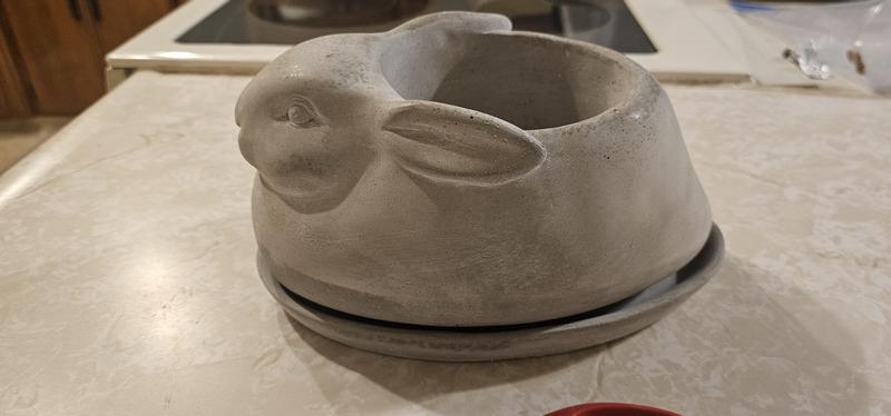 Cement Rabbit Planter with Saucer Set of 2 Pieces - Macy's
