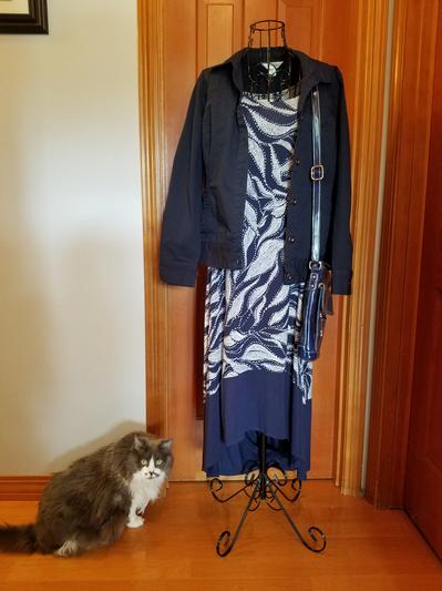 Purrfect for Take Your Cat to Work Day!!