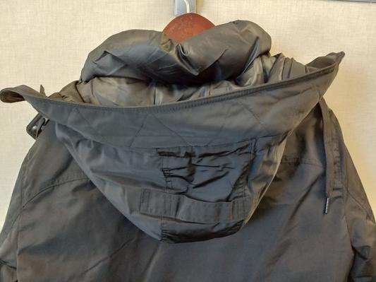 Hood with trim removed