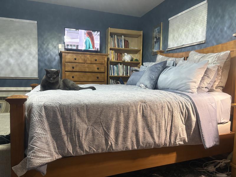 He loves the new comforter set.