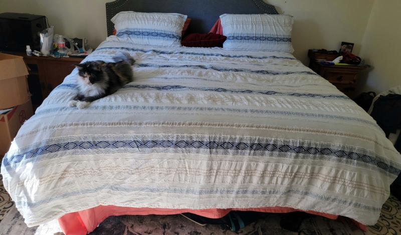 Comforter was a bit wrinkled from washing but did smooth out.