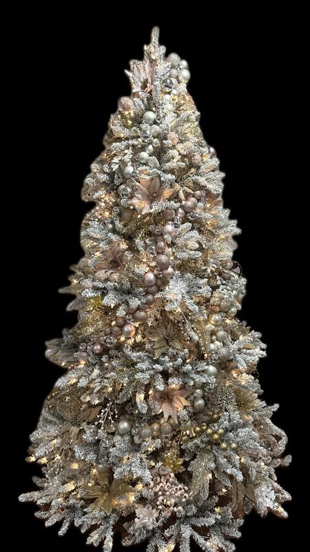 Customer carousel item 1.