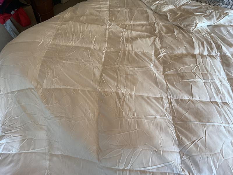 Photo from LGShopper