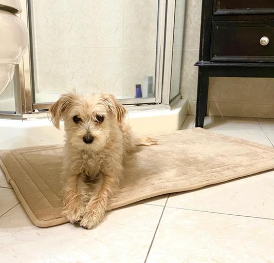 Brandy's New Favorite Spot