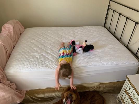 Fits the bed perfectly and has a nice soft cotton top.