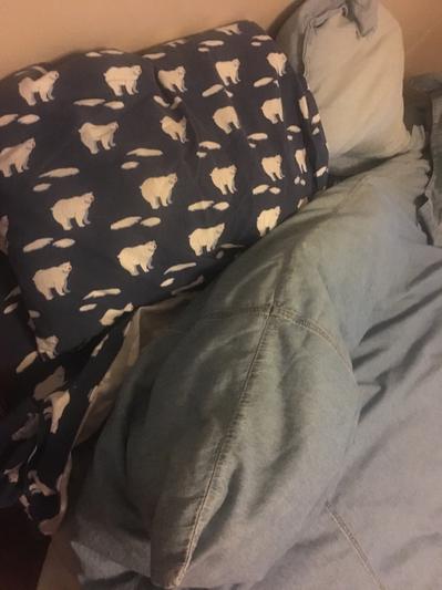 TOASTY & COMFY ON COLD NIGHTS