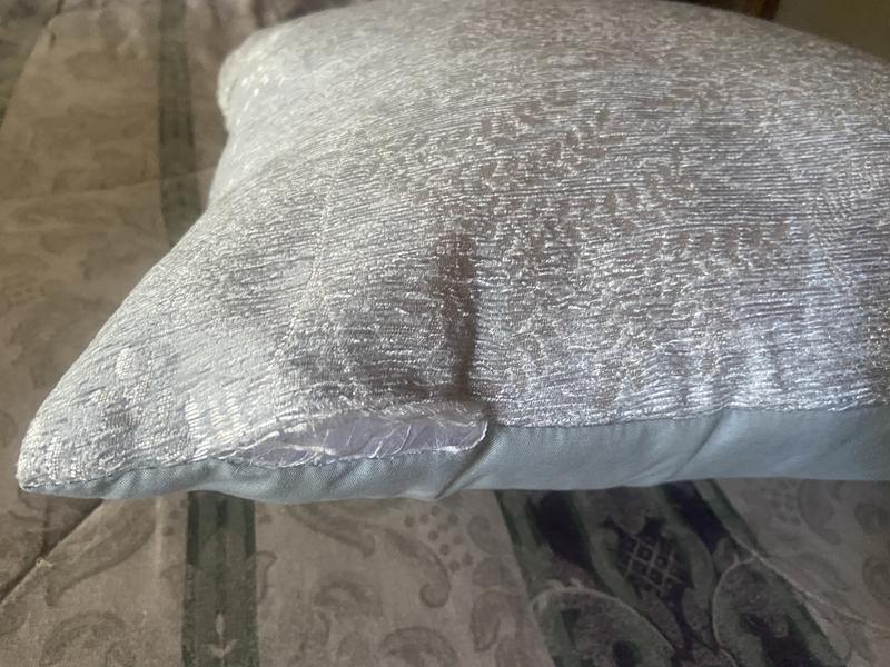 One of the pillows is ripped.