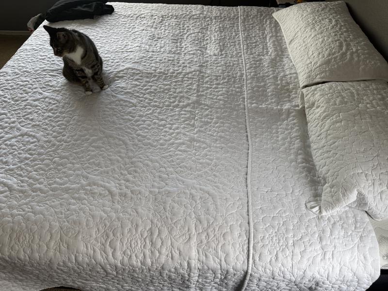 My cat is enjoying it as well