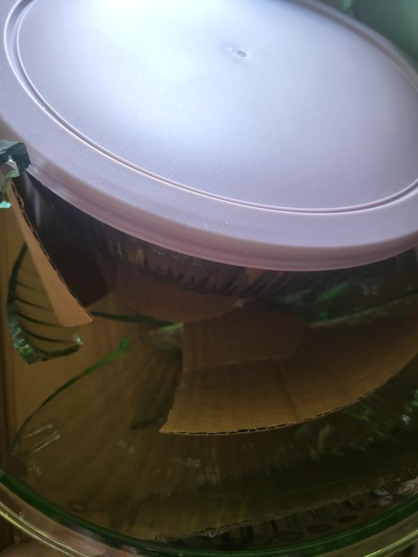 Customer carousel item 10.