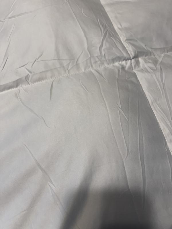 Photo from Rvela