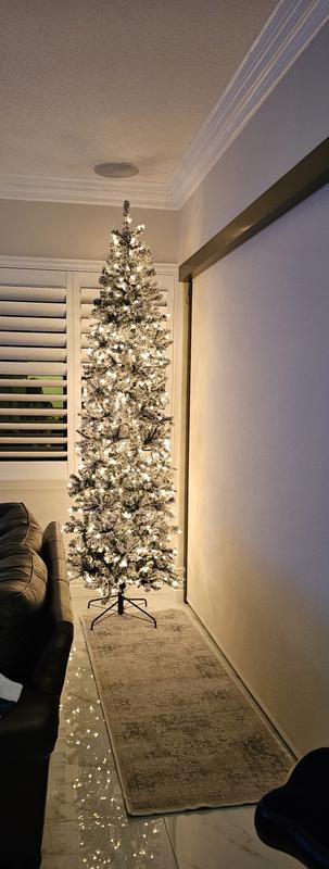 Just after setting up for 1st time.