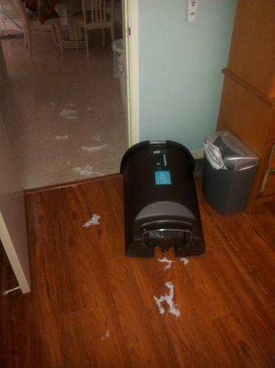 Trashcan 1 - Beagle 0