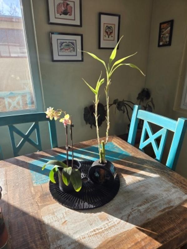 Photo from Burque