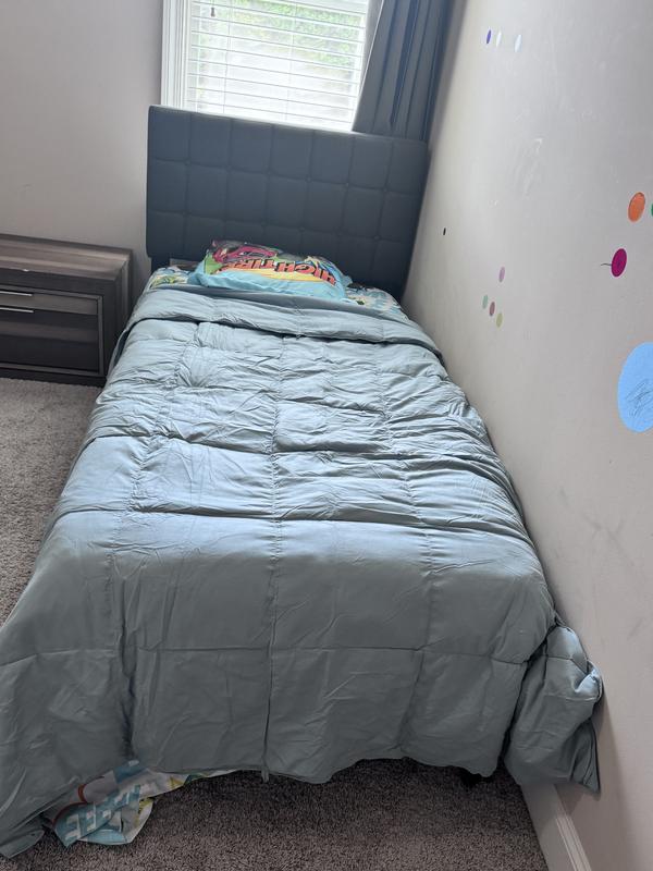 Photo from OlaReviewer