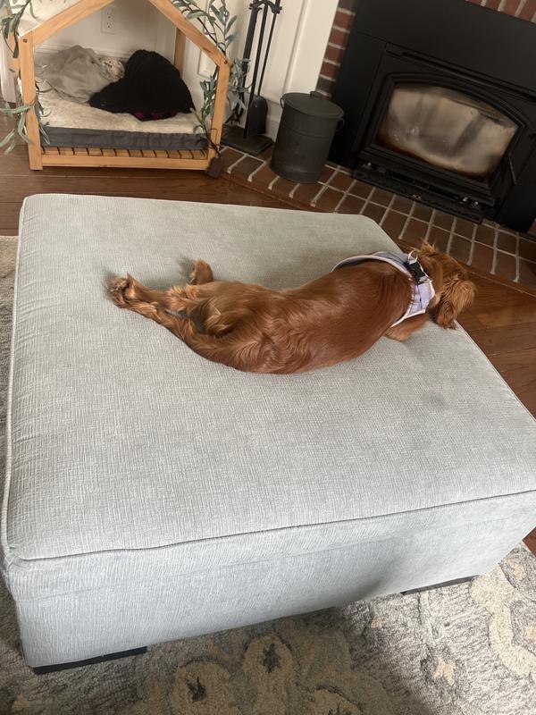 Customer carousel item 2.