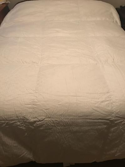 Entire comforter